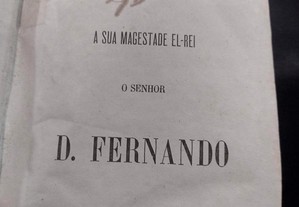 imagem_7