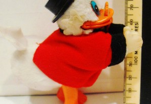 imagem_5