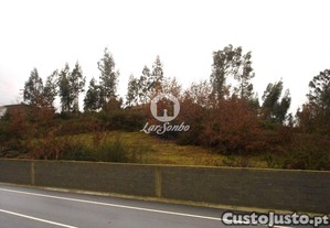 imagem_1