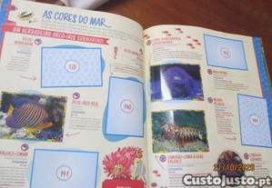 imagem_8