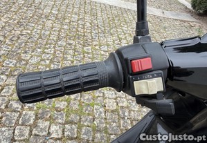 imagem_6
