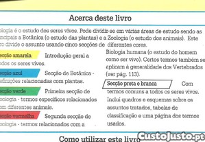 imagem_6
