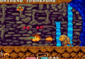 imagem_7