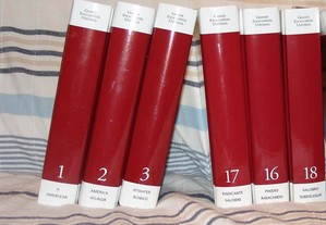 imagem_4