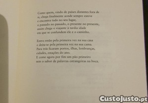imagem_8
