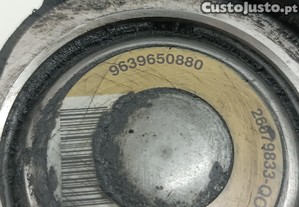imagem_2