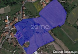 Quinta Com Casa Senhorial, Negrelos, Santo...