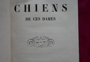 Henri de Kock. Les Petits Chiens de ces Dames 1856