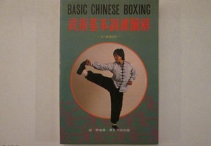 Basic chinese Boxing- Cai Yun