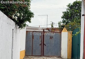 imagem_13