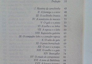imagem_4