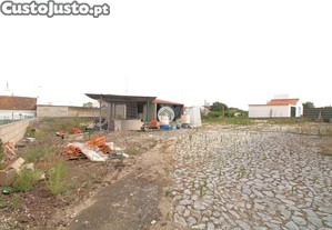imagem_10