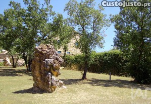 imagem_36