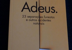 Livro "ADEUS 23 Separações Funestas e Outros Acidentes Naturais" de Luis Rainha