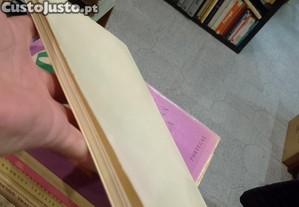 imagem_13