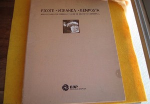 Barragens de Picote, Miranda e Bemposta - 1999