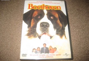 DVD "Beethoven" com Joseph Gordon-Levitt/Raro!