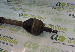 imagem_2