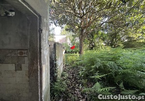 imagem_12