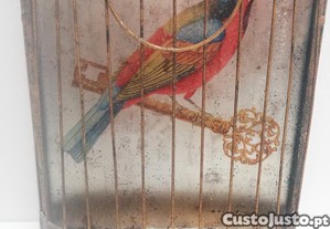 imagem_7