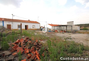 imagem_12