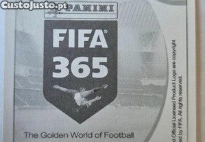 imagem_2