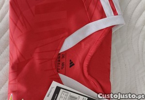 imagem_6