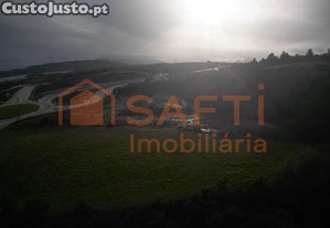 imagem_5