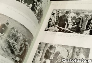 imagem_7