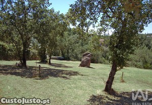 imagem_37
