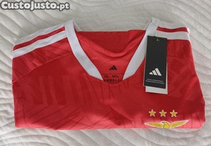 imagem_7