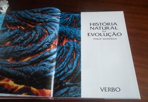 imagem_2
