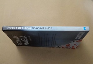 imagem_4