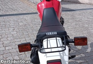 imagem_8
