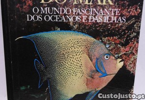 imagem_1