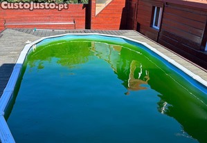 imagem_11