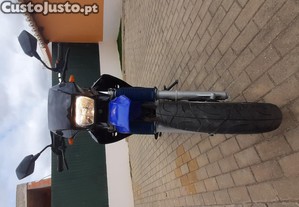 imagem_12