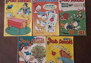 imagem_3