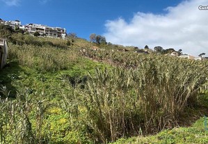 Terreno em Madeira de 5090,00 m²