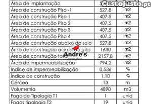 imagem_11