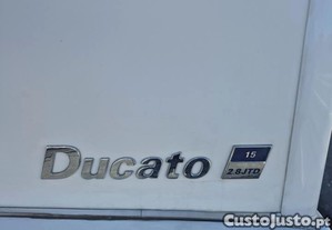 imagem_10