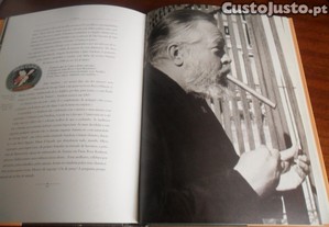 imagem_8