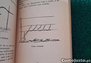 imagem_8