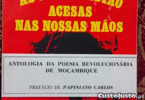 imagem_7