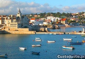 imagem_1