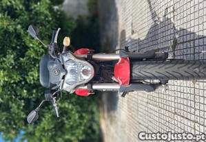 imagem_7