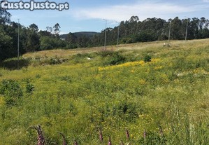 Terreno para construção em Fonte Arcada E Oliveira