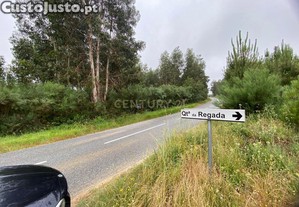 Terreno Espetacular em Tábua com Acesso e Luz Natural
