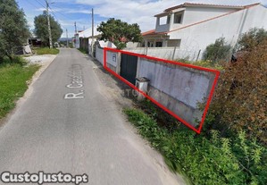 imagem_1