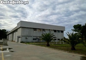 imagem_1